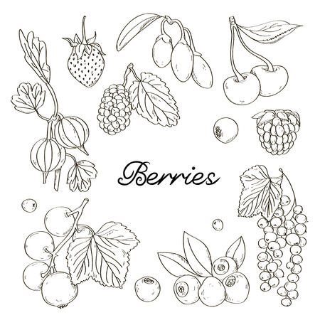 Online coloring book: Chokeberry coloring book with other fruits